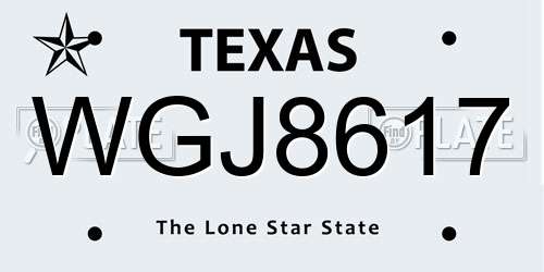 WGJ8617 Texas License Plate