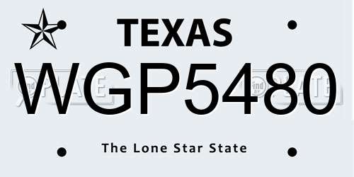 WGP5480 Texas License Plate