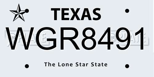 WGR8491 Texas License Plate