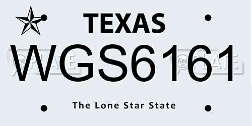 WGS6161 Texas License Plate