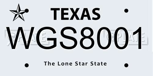 WGS8001 Texas License Plate