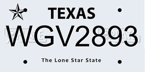 WGV2893 Texas License Plate