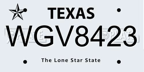 WGV8423 Texas License Plate
