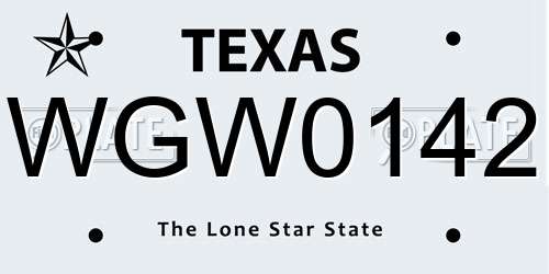 WGW0142 Texas License Plate
