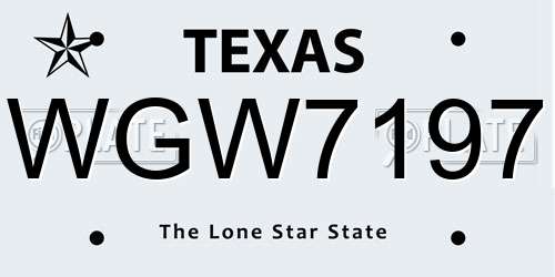 WGW7197 Texas License Plate