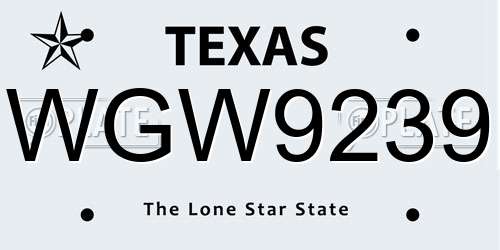 WGW9239 Texas License Plate