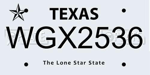 WGX2536 Texas License Plate