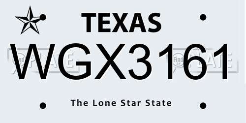 WGX3161 Texas License Plate