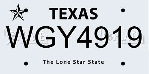 WGY4919 Texas License Plate