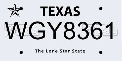 WGY8361 Texas License Plate