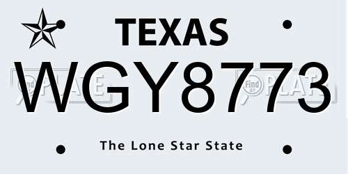 WGY8773 Texas License Plate