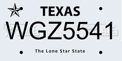 WGZ5541 Texas License Plate