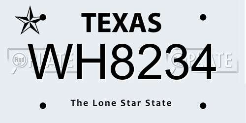 WH8234 Texas License Plate