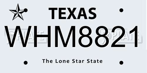 WHM8821 Texas License Plate