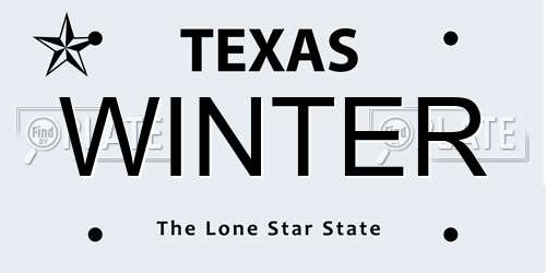 WINTER Texas License Plate