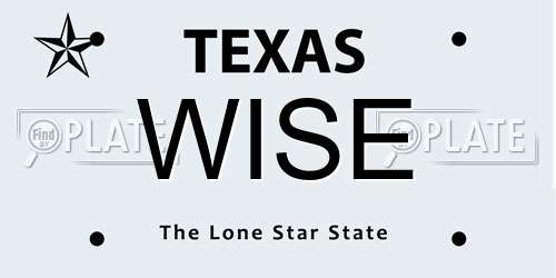 WISE Texas License Plate
