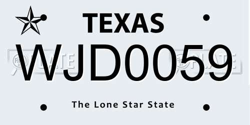 WJD0059 Texas License Plate