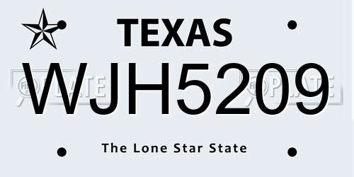 WJH5209 Texas License Plate