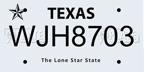 WJH8703 Texas License Plate