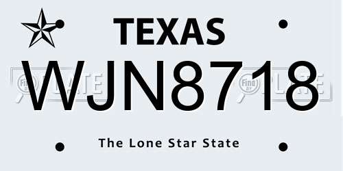 WJN8718 Texas License Plate