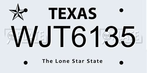 WJT6135 Texas License Plate