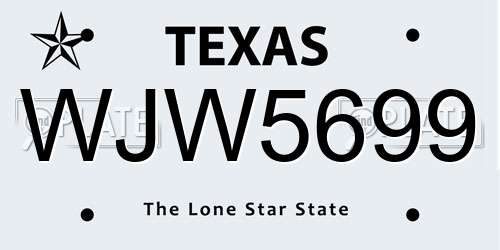 WJW5699 Texas License Plate