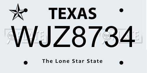 WJZ8734 Texas License Plate