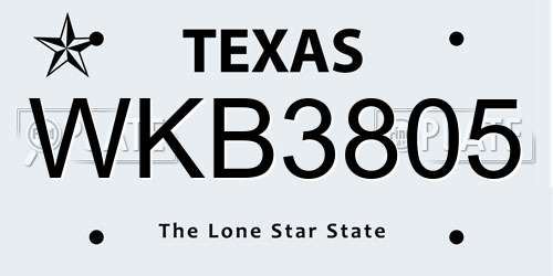 WKB3805 Texas License Plate
