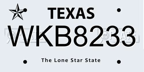 WKB8233 Texas License Plate