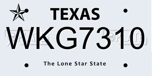 WKG7310 Texas License Plate
