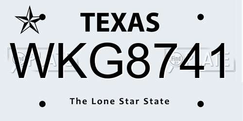 WKG8741 Texas License Plate