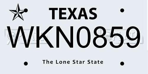 WKN0859 Texas License Plate