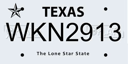 WKN2913 Texas License Plate