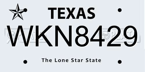 WKN8429 Texas License Plate