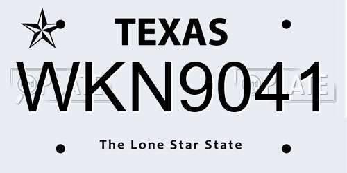 WKN9041 Texas License Plate
