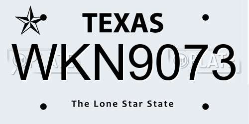 WKN9073 Texas License Plate