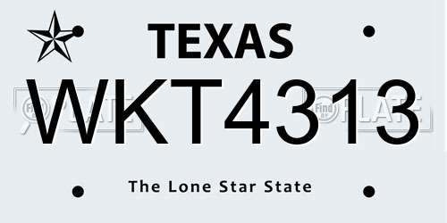 WKT4313 Texas License Plate