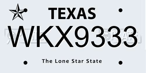 WKX9333 Texas License Plate