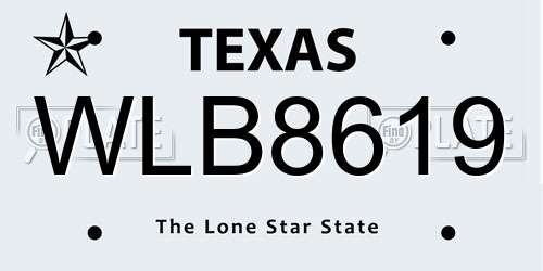 WLB8619 Texas License Plate