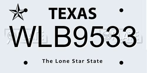 WLB9533 Texas License Plate