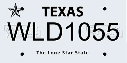 WLD1055 Texas License Plate