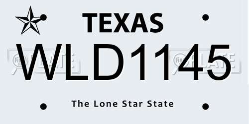 WLD1145 Texas License Plate
