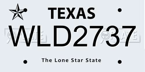WLD2737 Texas License Plate