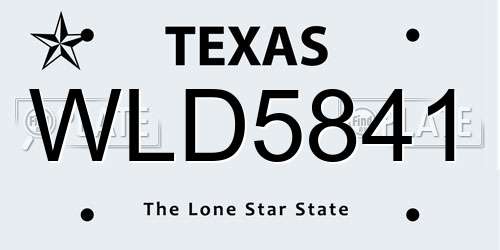 WLD5841 Texas License Plate