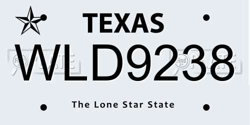 WLD9238 Texas License Plate