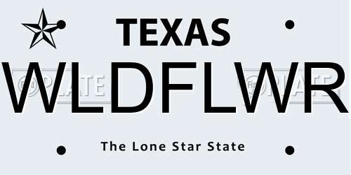 WLDFLWR Texas License Plate