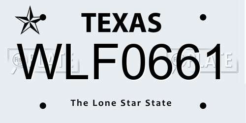 WLF0661 Texas License Plate