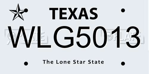 WLG5013 Texas License Plate