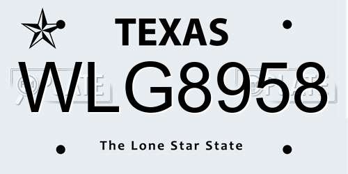 WLG8958 Texas License Plate
