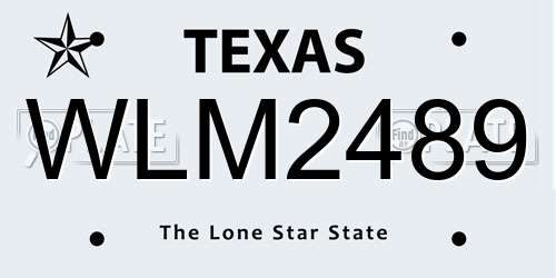 WLM2489 Texas License Plate